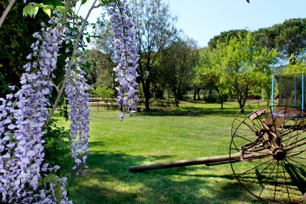 Agriturist Prile Villa Castiglione della Pescaia Eksteriør bilde