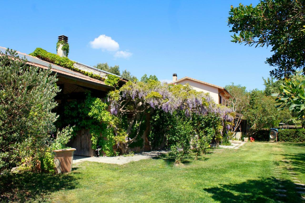 Agriturist Prile Villa Castiglione della Pescaia Eksteriør bilde